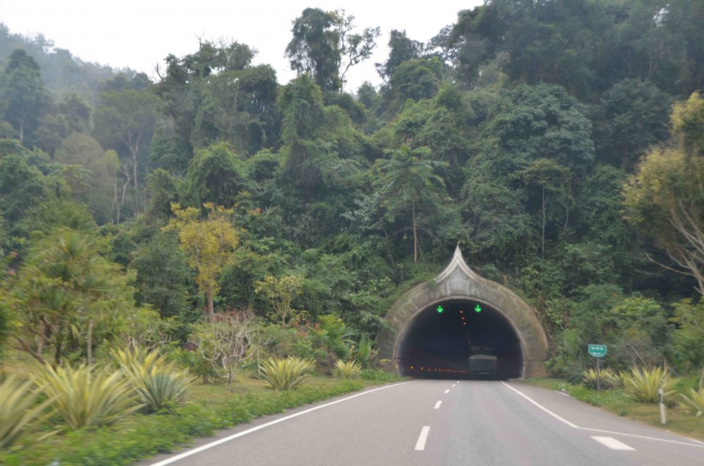 Durch den Urwald nach Laos