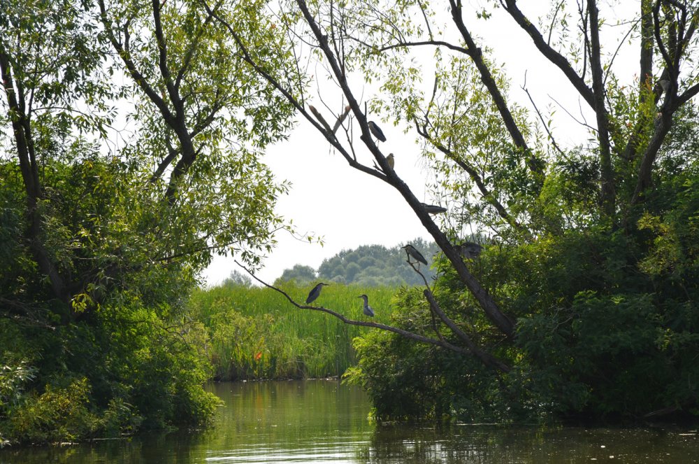 Am Theißsee