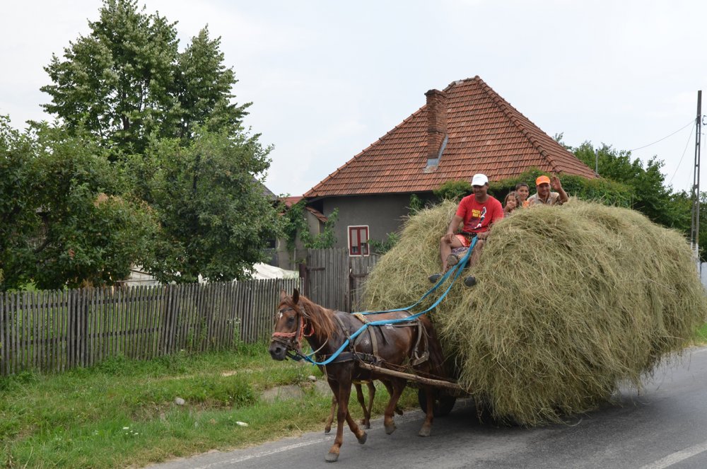 Auf dem Land