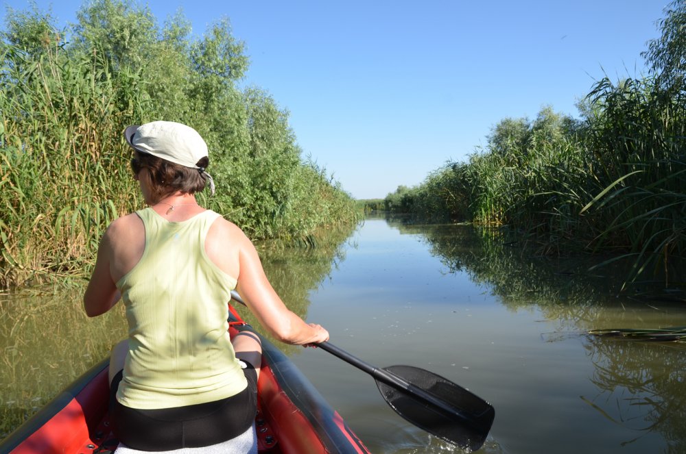 Donaudelta