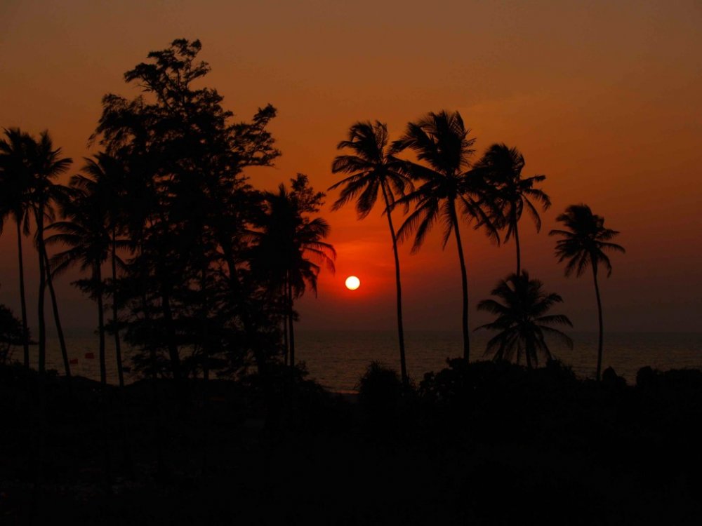Urlaub in Goa