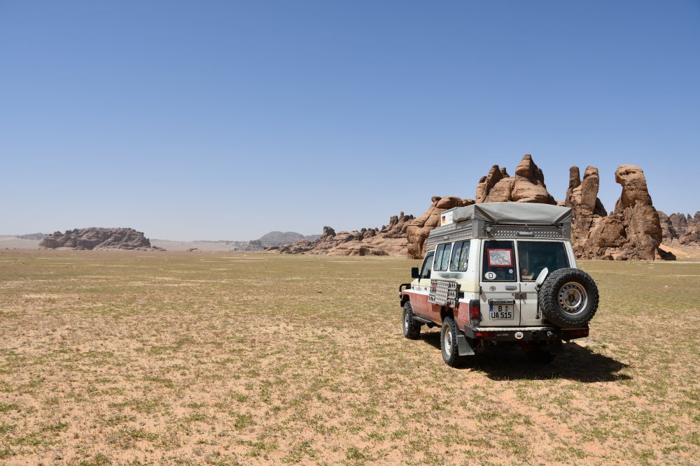 Grüne Wüste nach Regenfällen Grüne Wüste nach Regenfällen