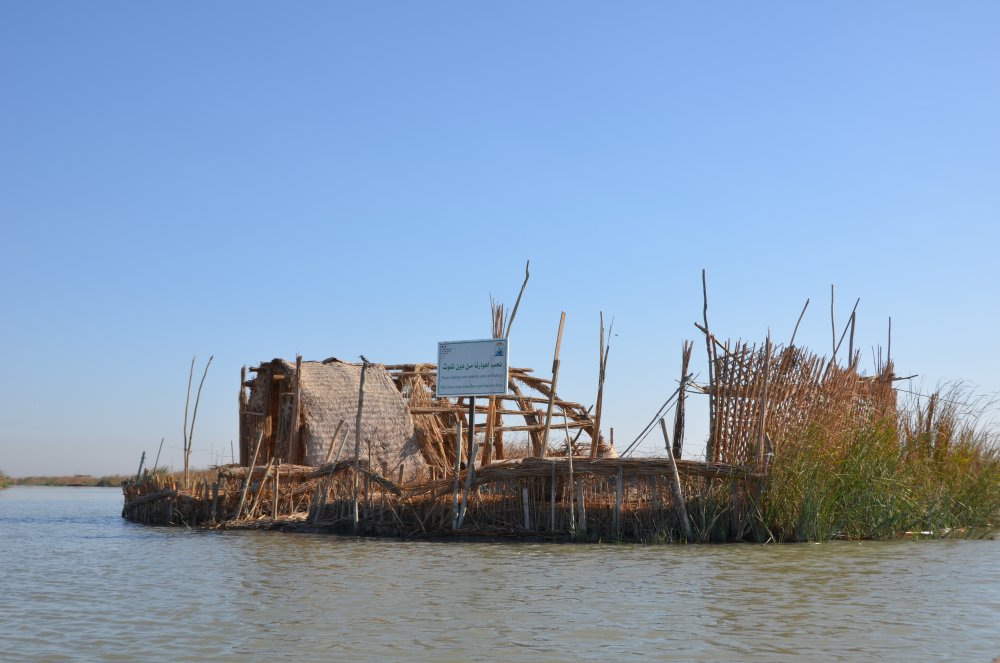 Schilfinsel im Marschland Schilfinsel im Marschland