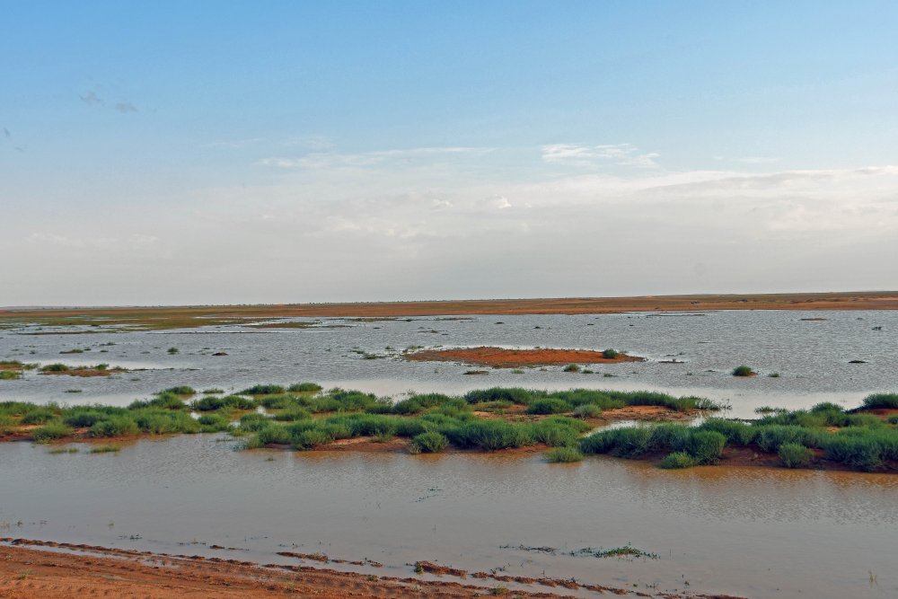 Überflutete Wüste Überflutete Wüste