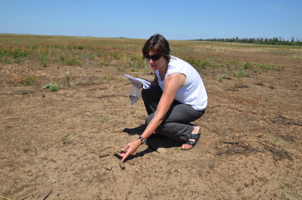 Spuren des Krieges Spuren des Krieges